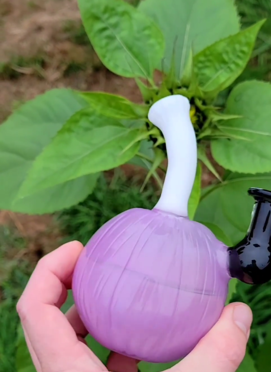 Functional purple pumpkin